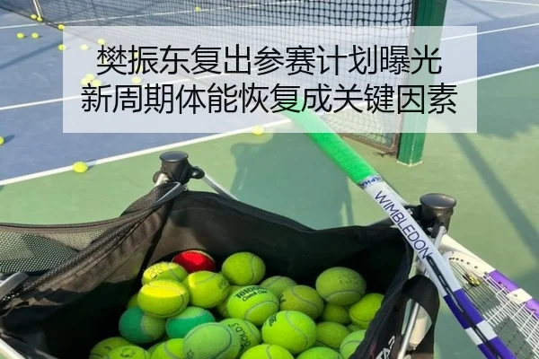 樊振东复出参赛计划曝光 新周期体能恢复成关键因素
